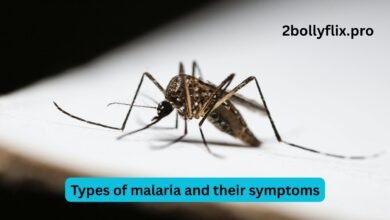 Types of malaria and their symptoms